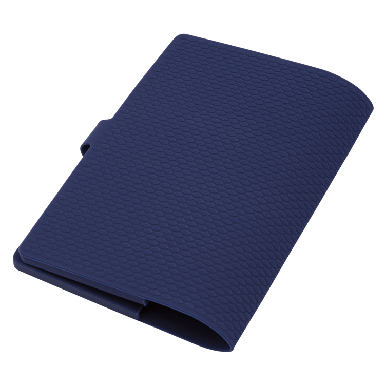 Sand PASSPORT CASE HAVAIANAS DISNEY 100 HAVAIANAS