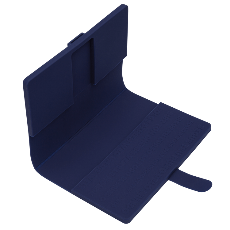 Sand PASSPORT CASE HAVAIANAS DISNEY 100 HAVAIANAS